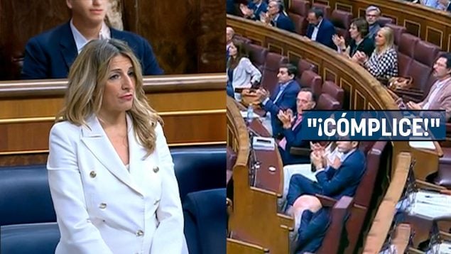 Ver vídeo