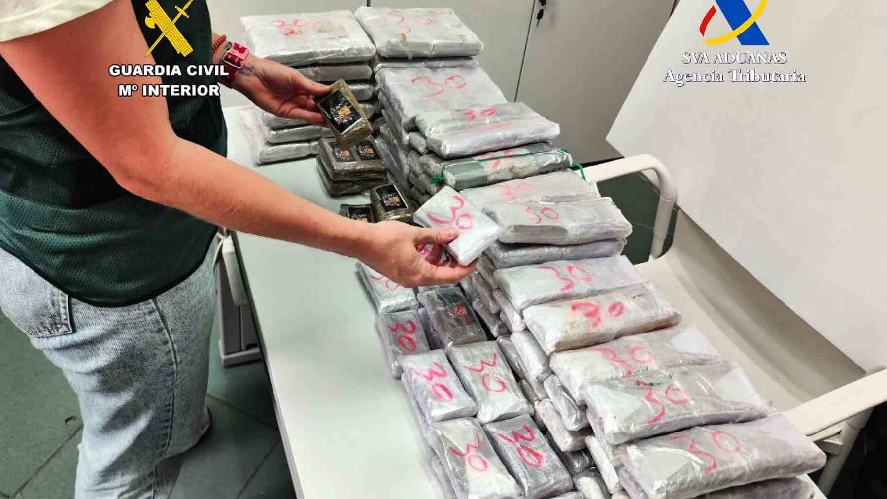 Los 26 kilos de hachís incautados en el puerto de Palma. GUARDIA CIVIL
