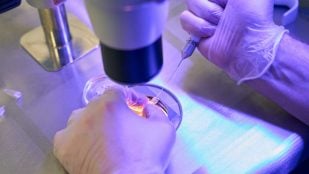 Tejidos bioinspirados