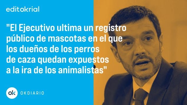 cazadores