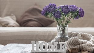 Planta, flora, curiosidades