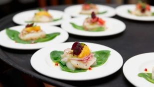Carpaccio de vieiras