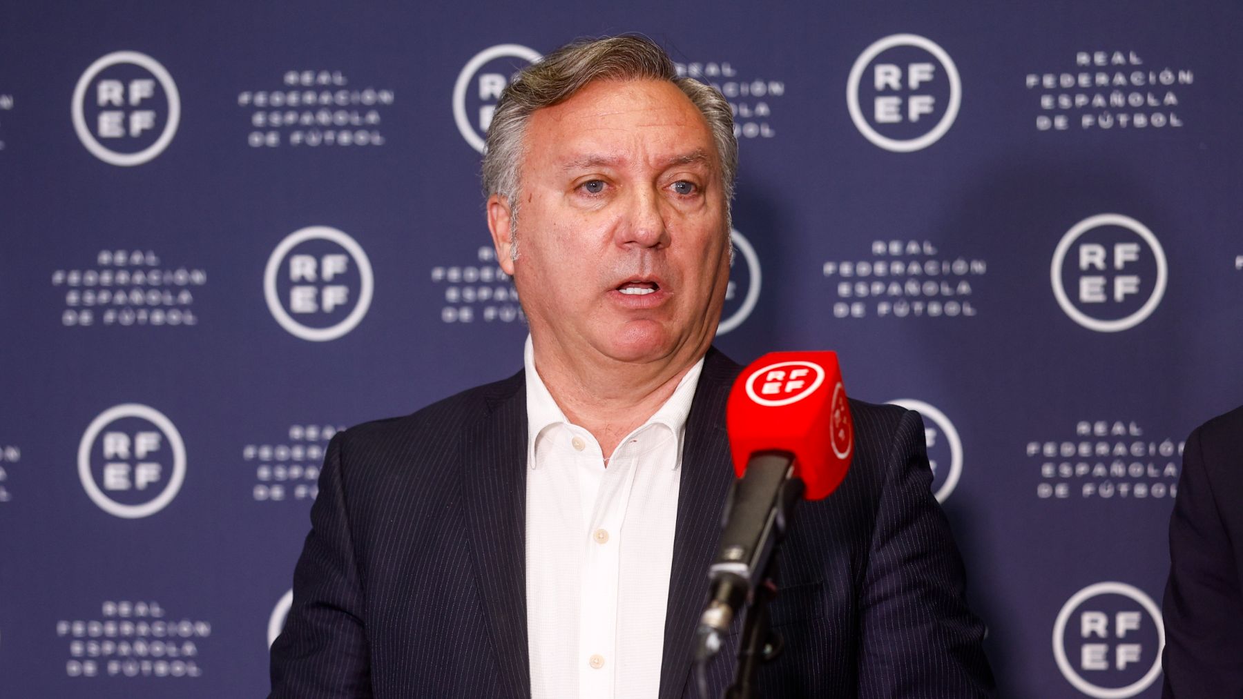 Luis Medina Cantalejo. (EFE)