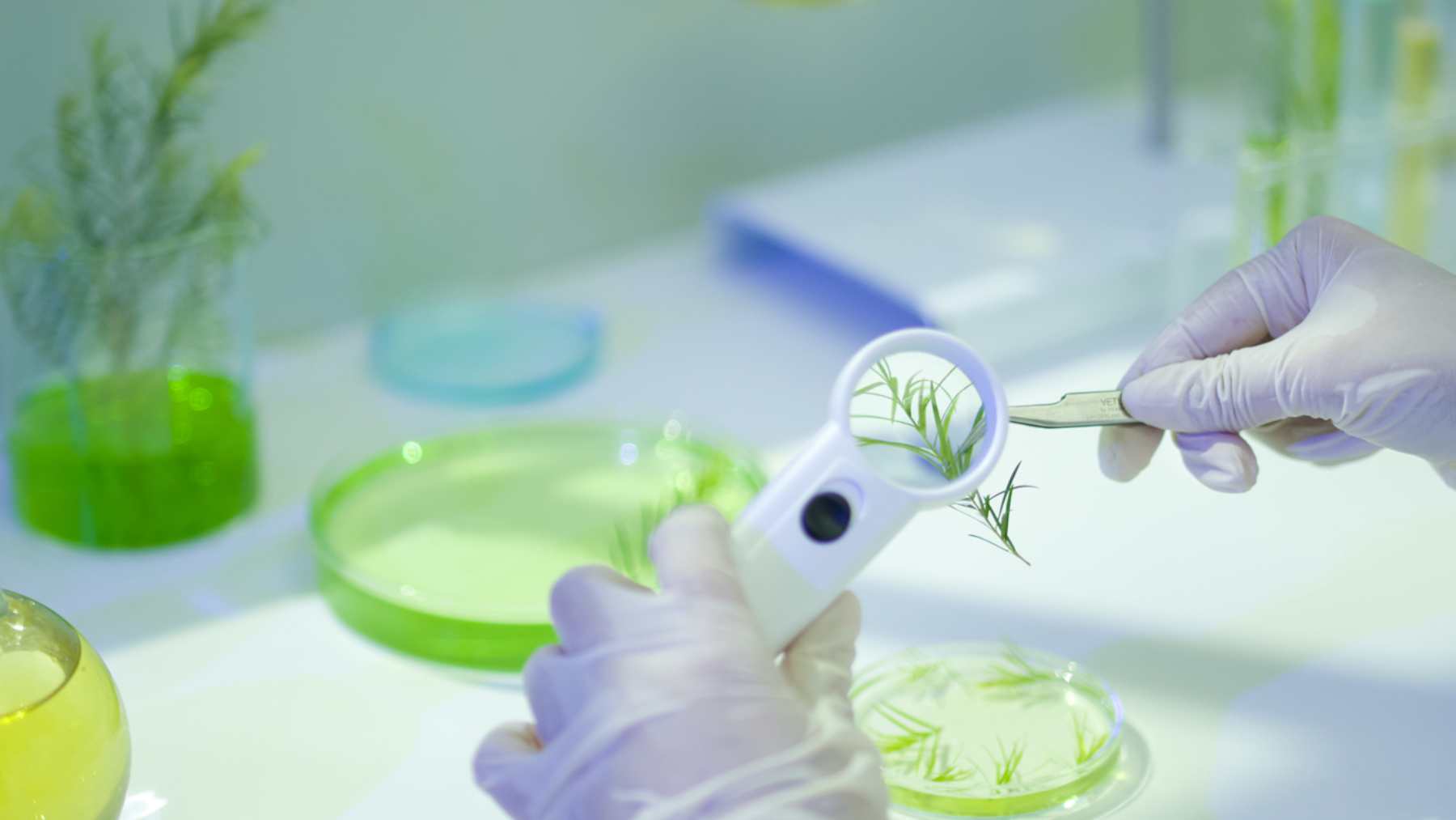 Química verde, procesos.
