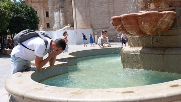 Ola de calor