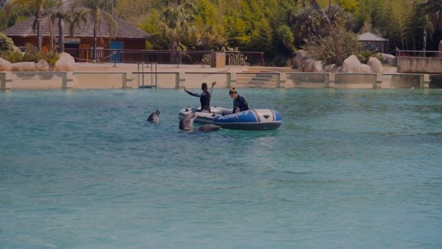 oceanario de Marineland