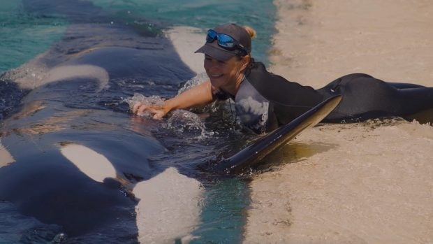 Orcas Marineland