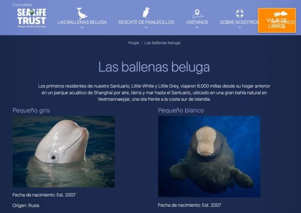 Web de SeaLife Trust