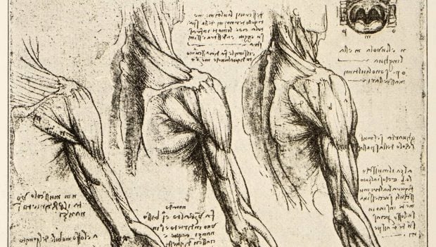 Da Vinci y la anatomía
