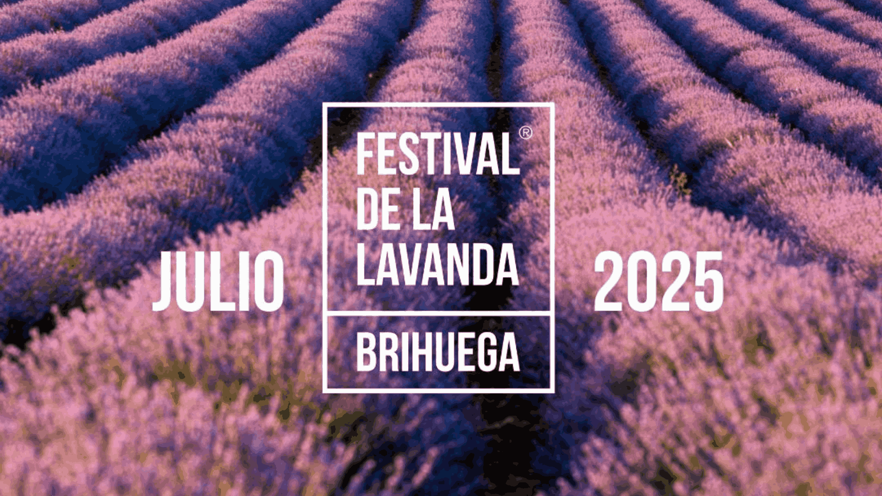 Festival de la Lavanda Brihuega 2025