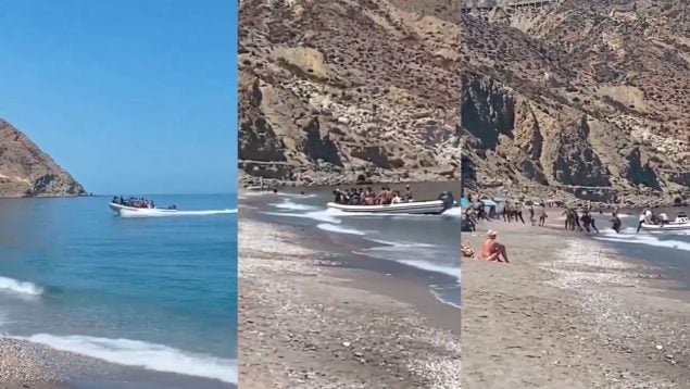 Ver vídeo