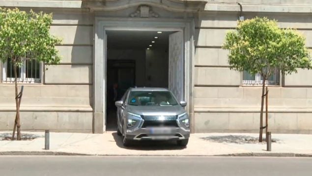 Ver vídeo