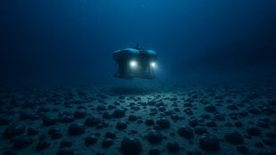 Tierras raras submarinas