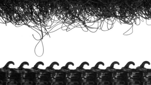 Los sistemas de sujeción de gancho y bucle que caracterizan al velcro también se fijan en la naturaleza. 