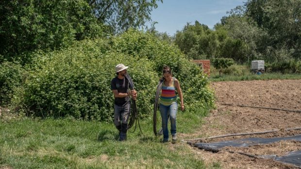 Agricultores Torremocha