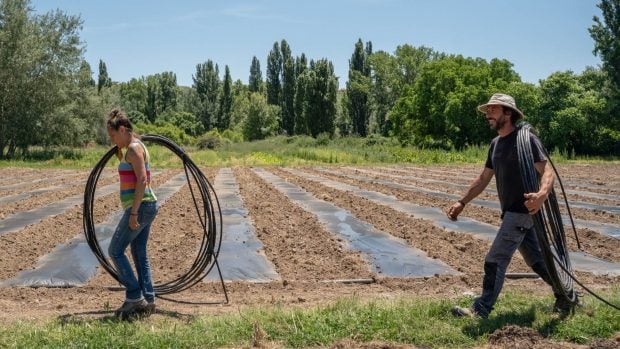 Trabajo agroecología CSA en el campo