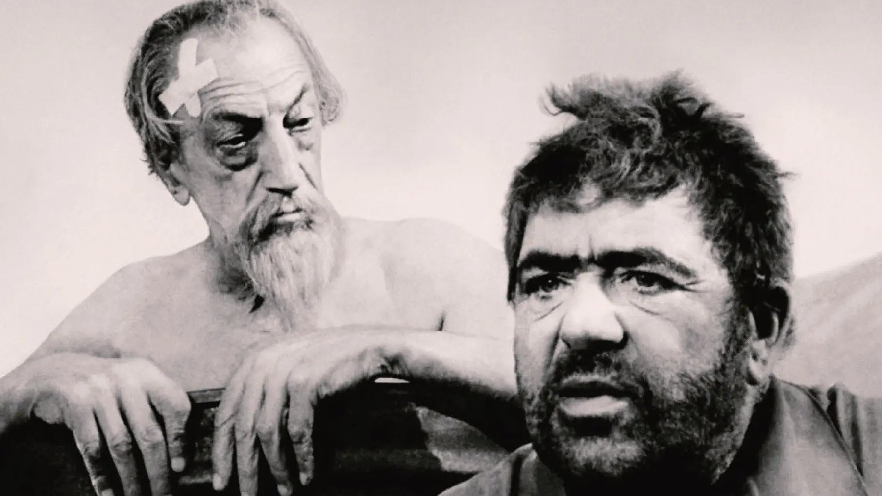 Quijote de Welles.