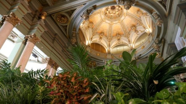  Salón de Baile del Círculo de Bellas Artes de Madrid acondicionado con plantas. (Foto: Círculo de Bellas Artes de Madrid/ Miguel Balbuena).