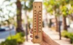No es la primera ola de calor del año pero está cerca: Madrid en alerta máxima por temperaturas fuera de lo normal, según la AEMET