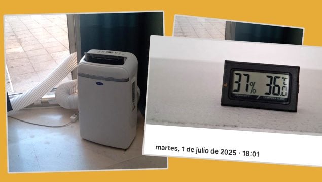 Manacor calor, Manacor DNI