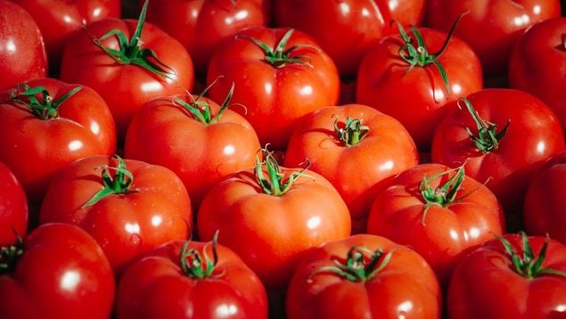 Tomates en España