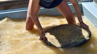 Oro, Asturias, curiosidades