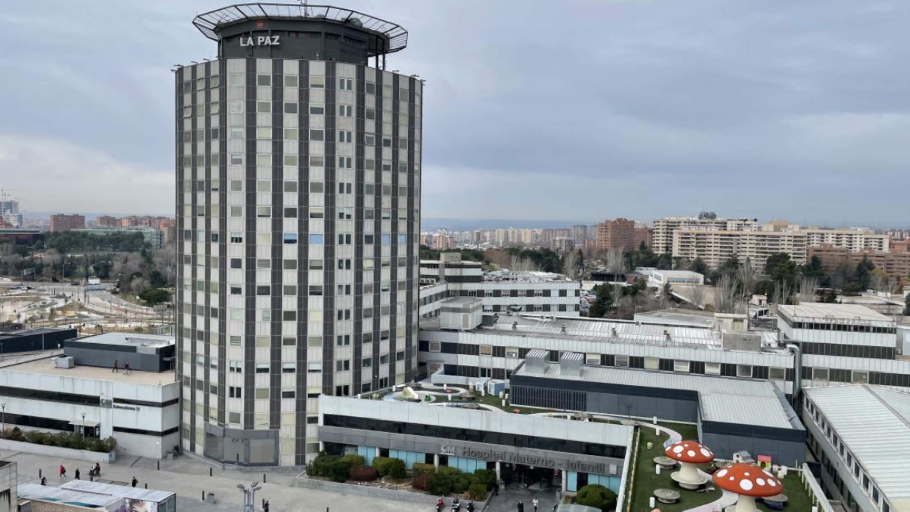 Hospita Público La Paz de Madrid: torre de maternidad.