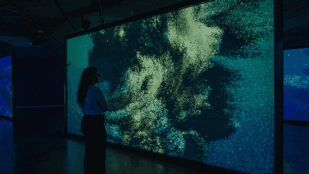 Exposición 'Ecos del Océano' en Espacio Fundación Telefónica