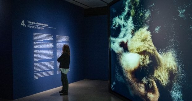 Exposición 'Ecos del Océano' en Espacio Fundación Telefónica