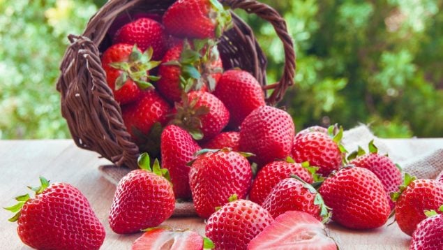Servilleta para comprar fresas