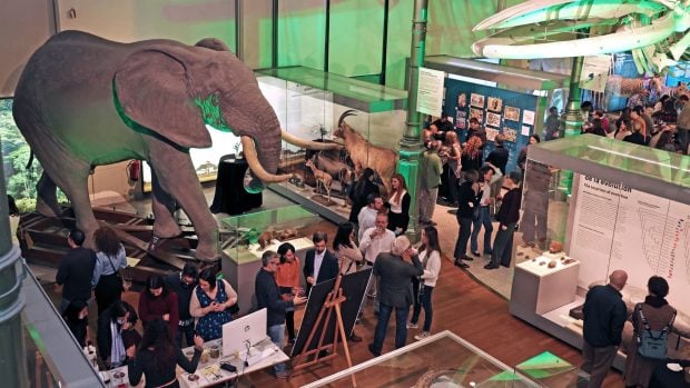 Museo de ciencias naturales Madrid