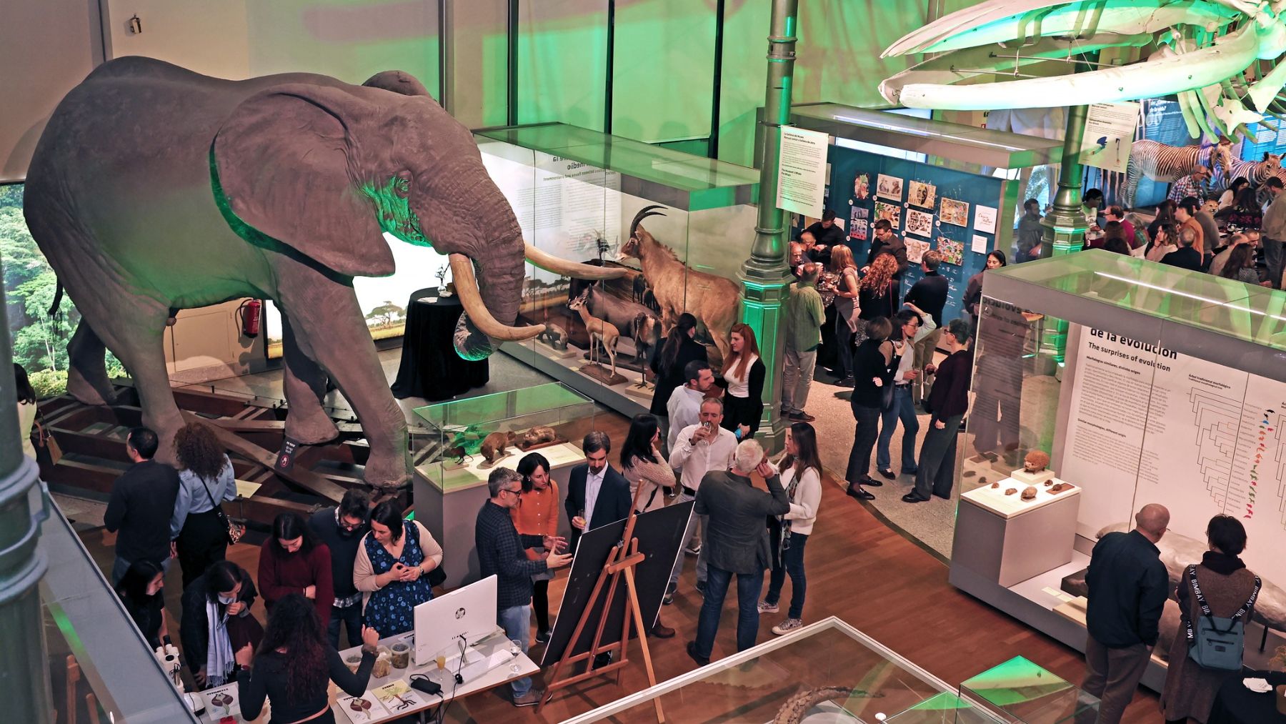 Interior del Museo. (Foto: Redes Sociales)