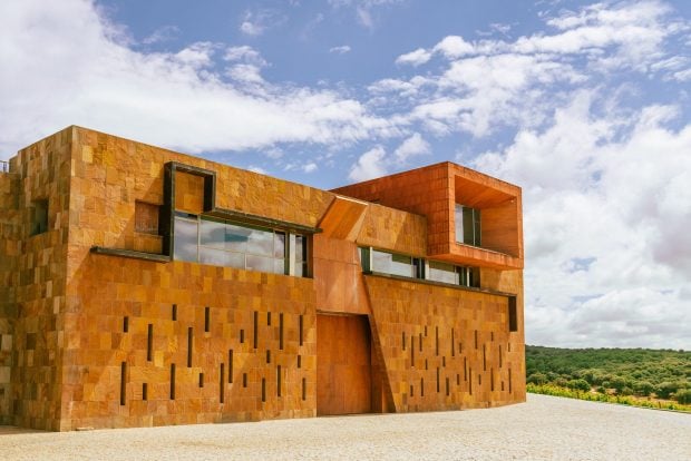 viñedos; enoturismo; bodegas