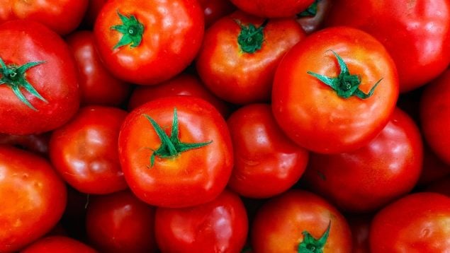 El tomate