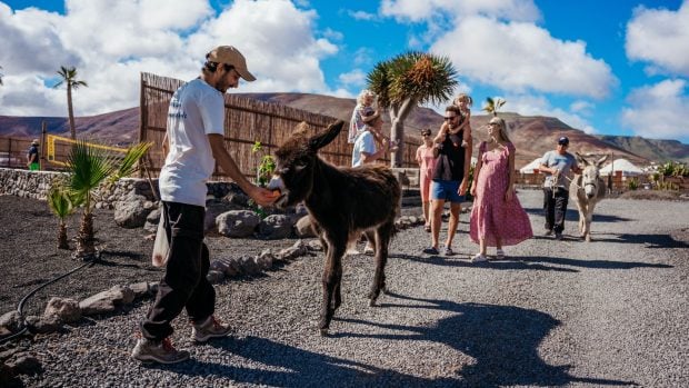 Cinco propuestas de glamping para tus vacaciones de verano en España