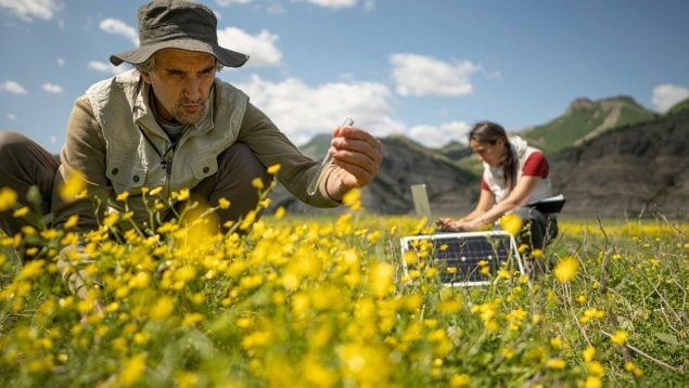 Biodiversidad