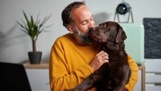 dueños perros