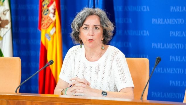 Los de Teresa Rodríguez: «Dejar la inmigración a Vox es poner a un pederasta en políticas infantiles»