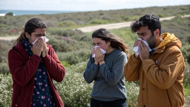 Alergia, especies, plantas, especies invasoras