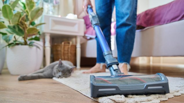 Las mejores marcas de aspiradores hunden sus precios en las ofertas del Amazon Prime Day 2025