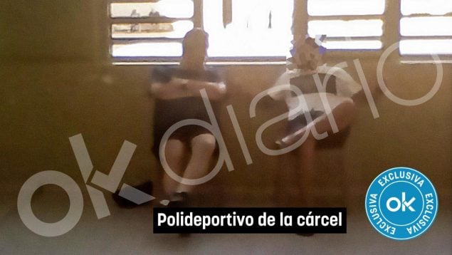 Ver vídeo