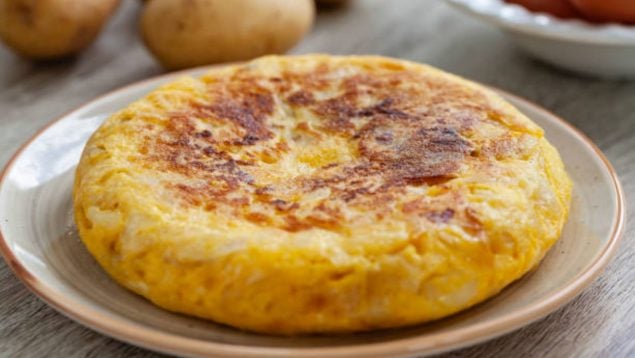 tortilla Amazon