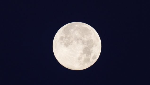 Luna del Ciervo