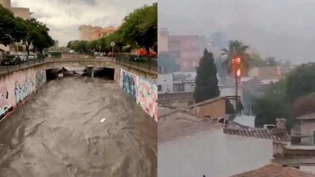 Ver vídeo