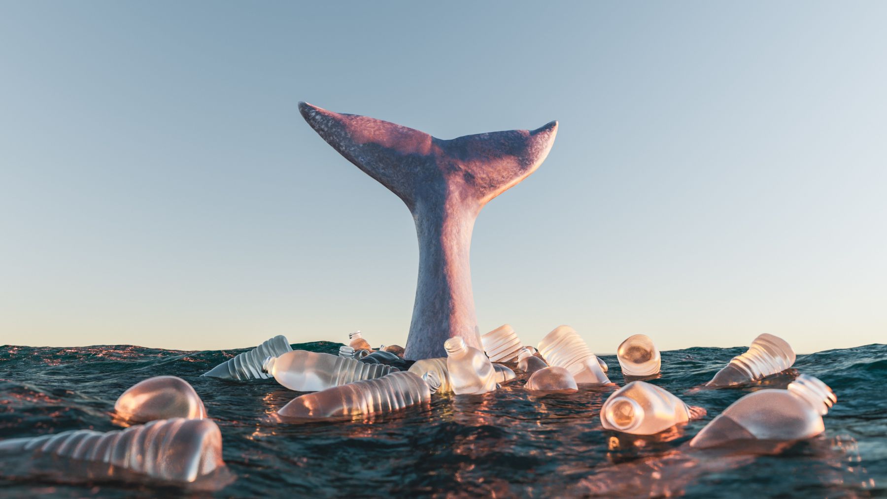 Los plásticos son señalados por los daños que provocan a las especies marinas.