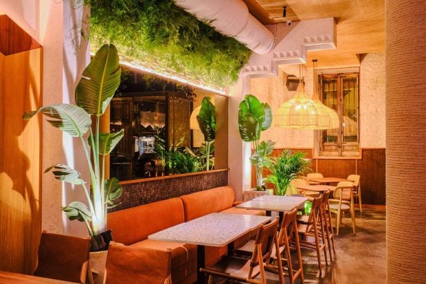 Restaurante Barracuda MX