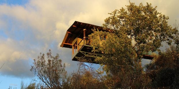 Cabañas en los árboles de Extremadura.