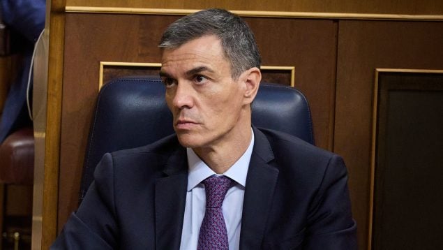 pymes,