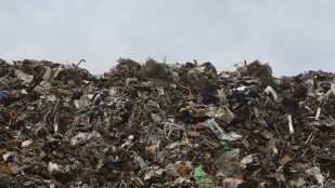 La Tierra convierte basura en piedra