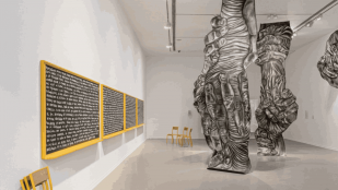 "¿Adónde irá el pájaro que no vuele? ¿Adónde iré yo que no te lleve?", Exposición de La Casa Encendida